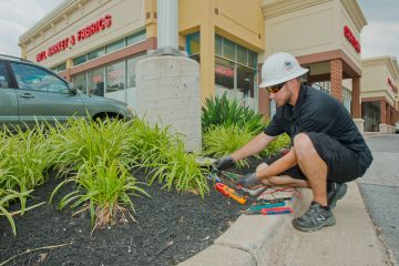 4 Tips For Choosing The Right Commercial Landscape Lighting 