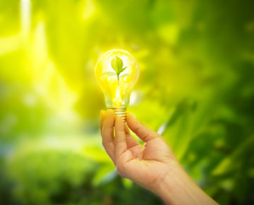 Why Is LED Lighting Better For The Environment