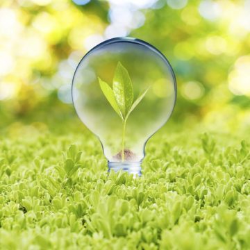Find An Energy-Saving Solution For Your Business